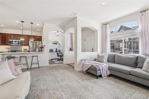 9528 Cedarhurst Lane Highlands Ranch CO 80129