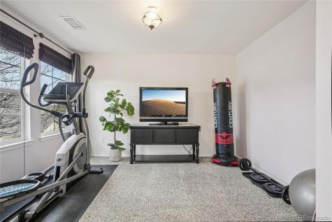 9528 Cedarhurst Lane Highlands Ranch CO 80129