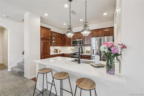 9528 Cedarhurst Lane Highlands Ranch CO 80129