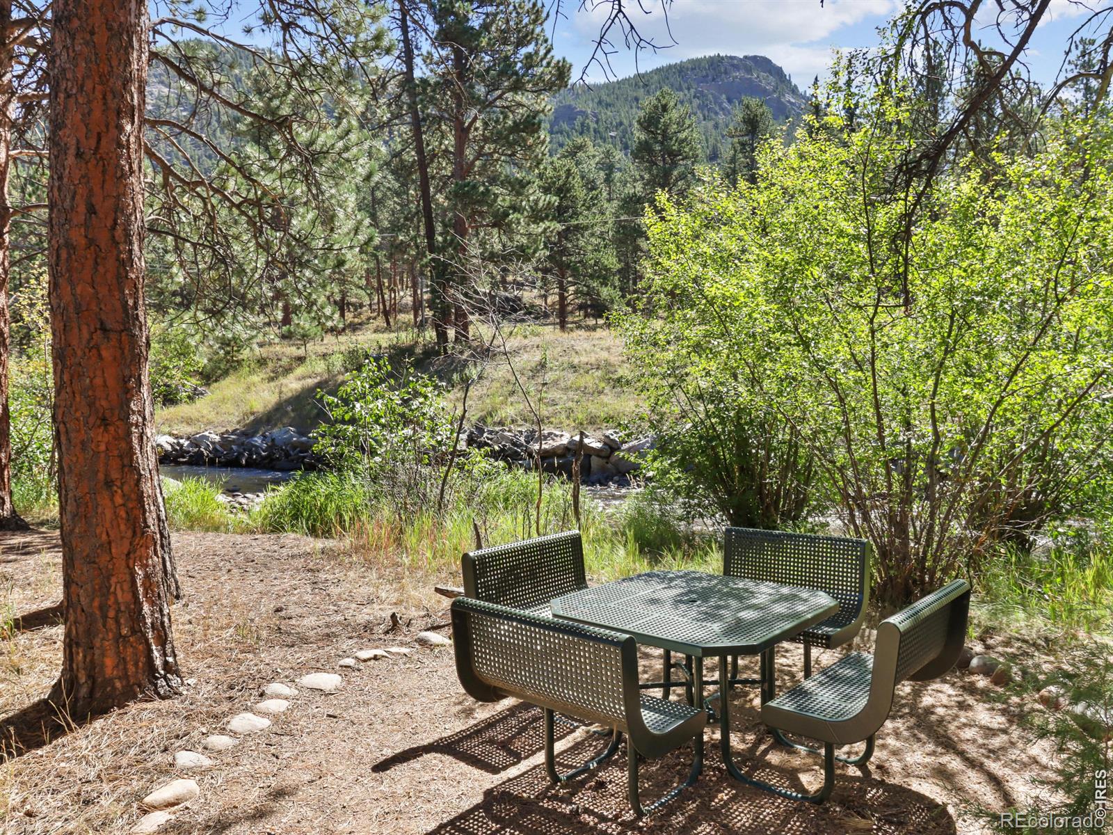 624 Park River Place Estes Park CO 80517