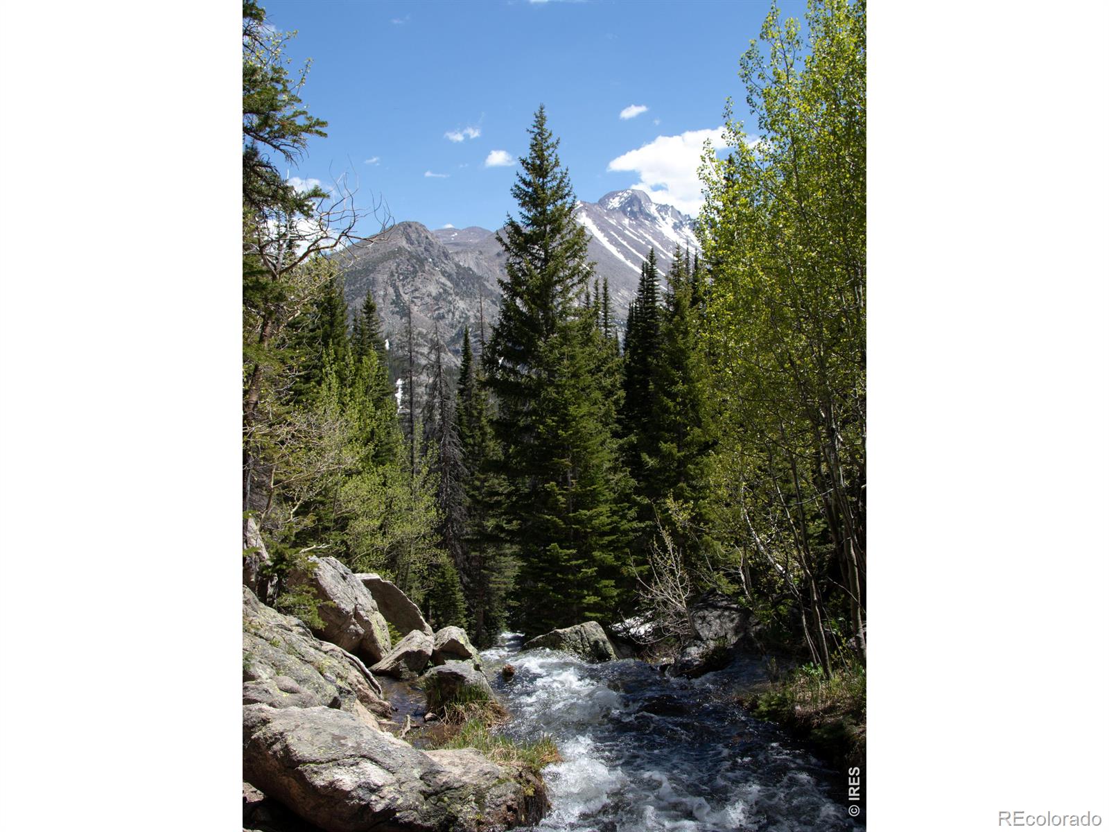 624 Park River Place Estes Park CO 80517