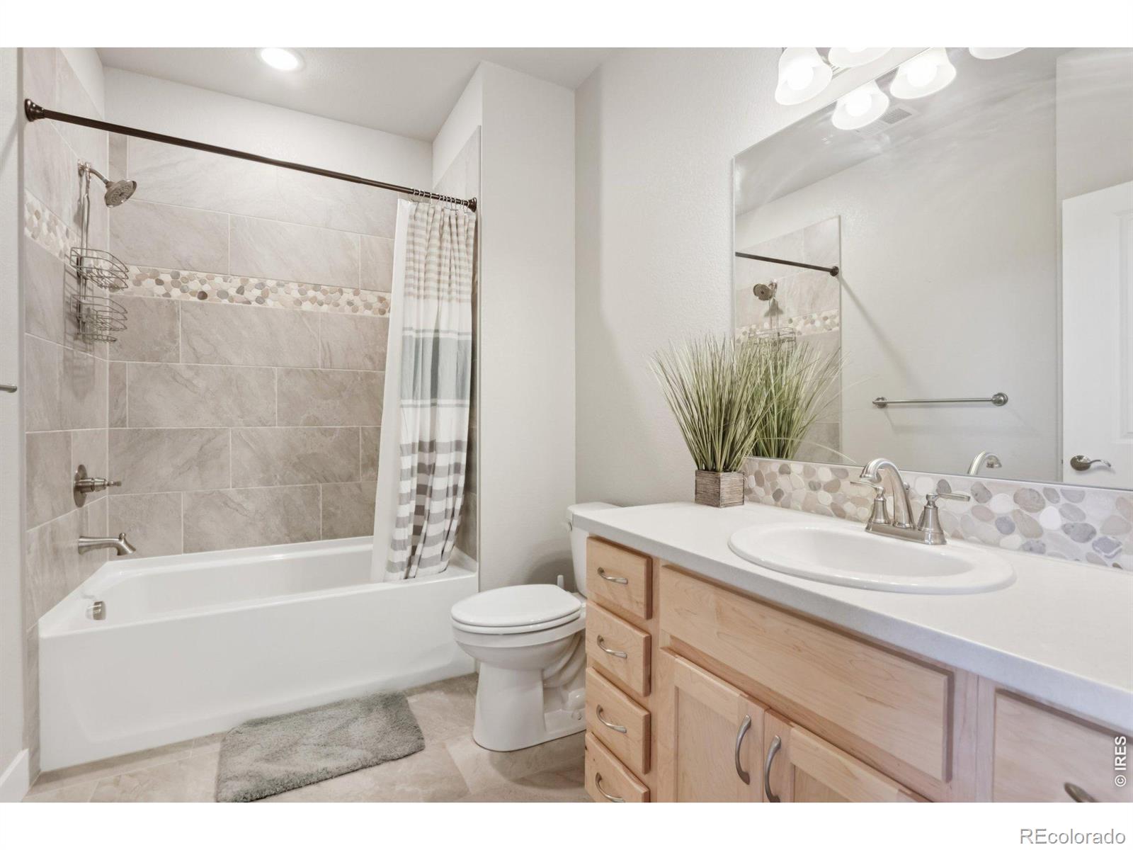 4612 Hahns Peak Drive Loveland CO 80538