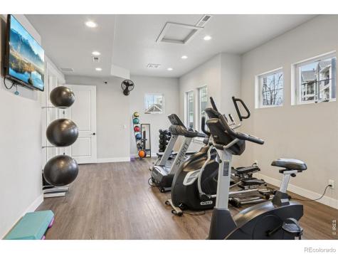 4612 Hahns Peak Drive Loveland CO 80538