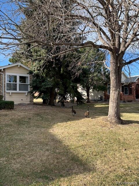 4 Shetland Court Highlands Ranch CO 80130