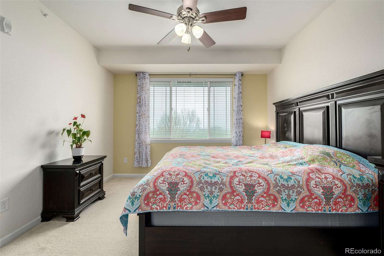 804 Summer Hawk Drive Longmont CO 80504
