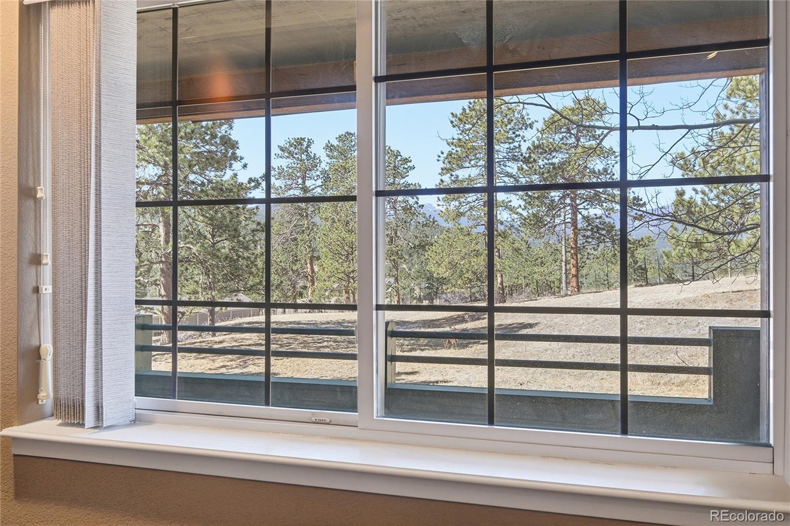 31819 Rocky Village Drive Evergreen CO 80439