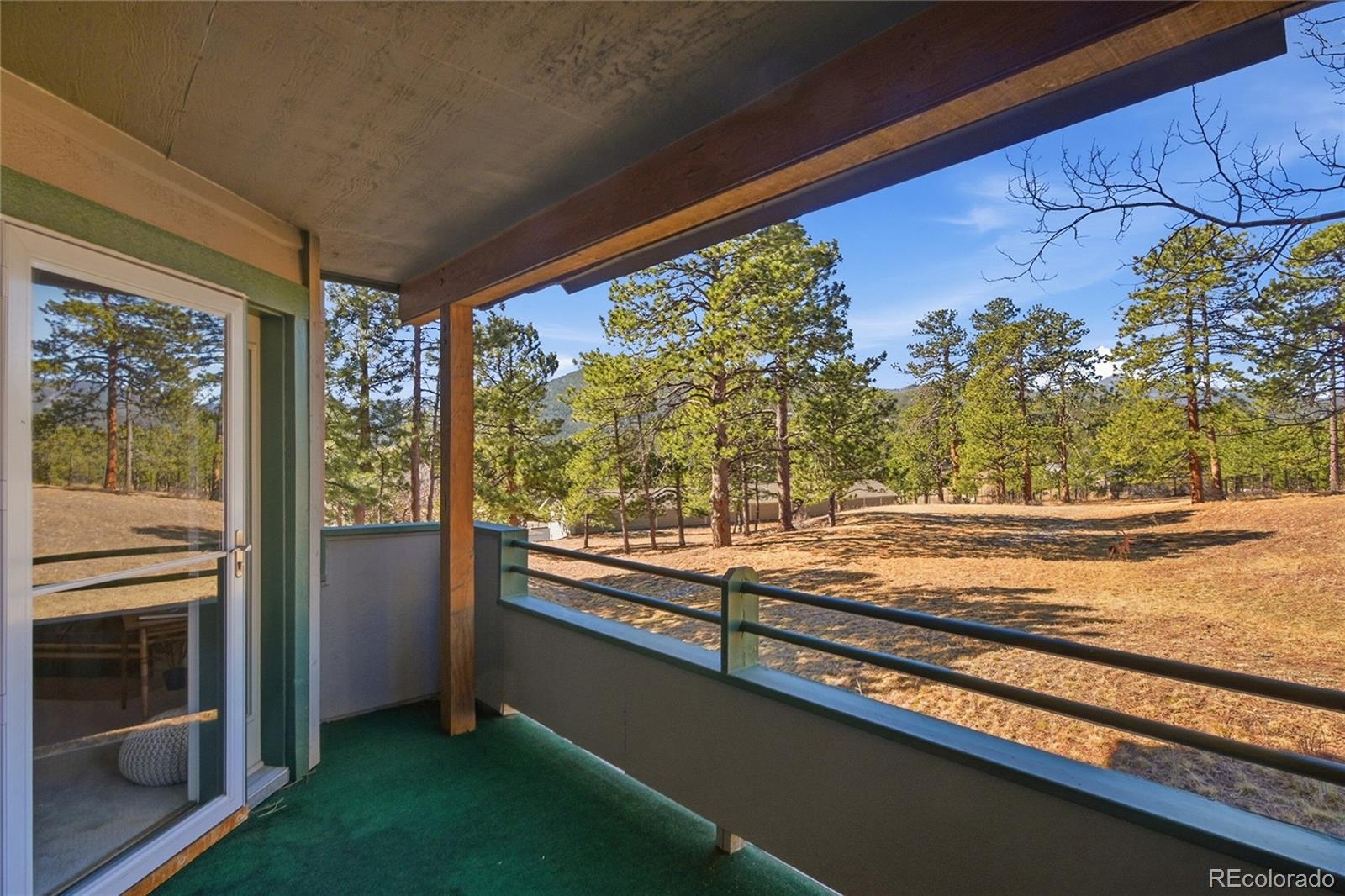 31819 Rocky Village Drive Evergreen CO 80439