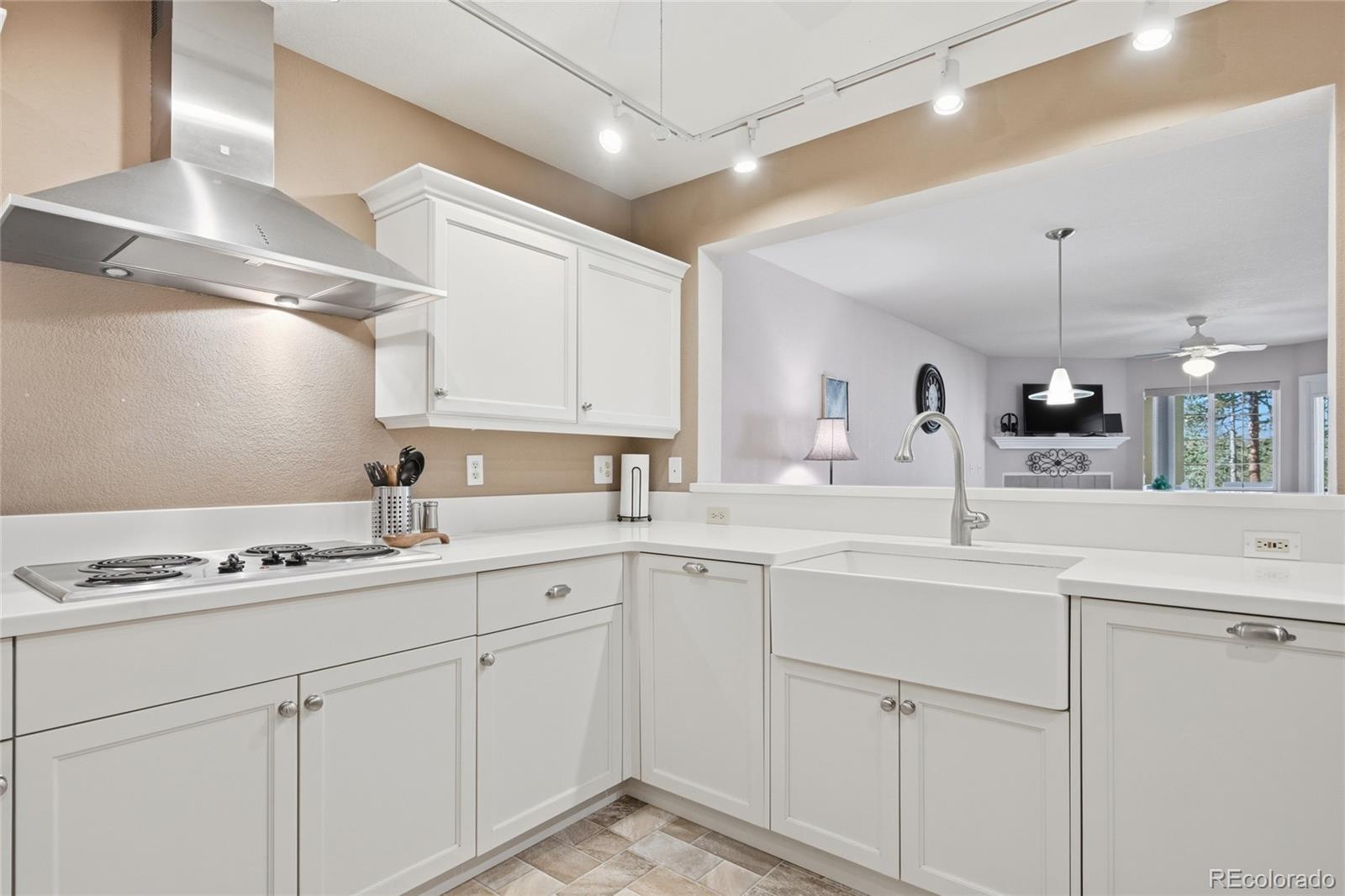 31819 Rocky Village Drive Evergreen CO 80439