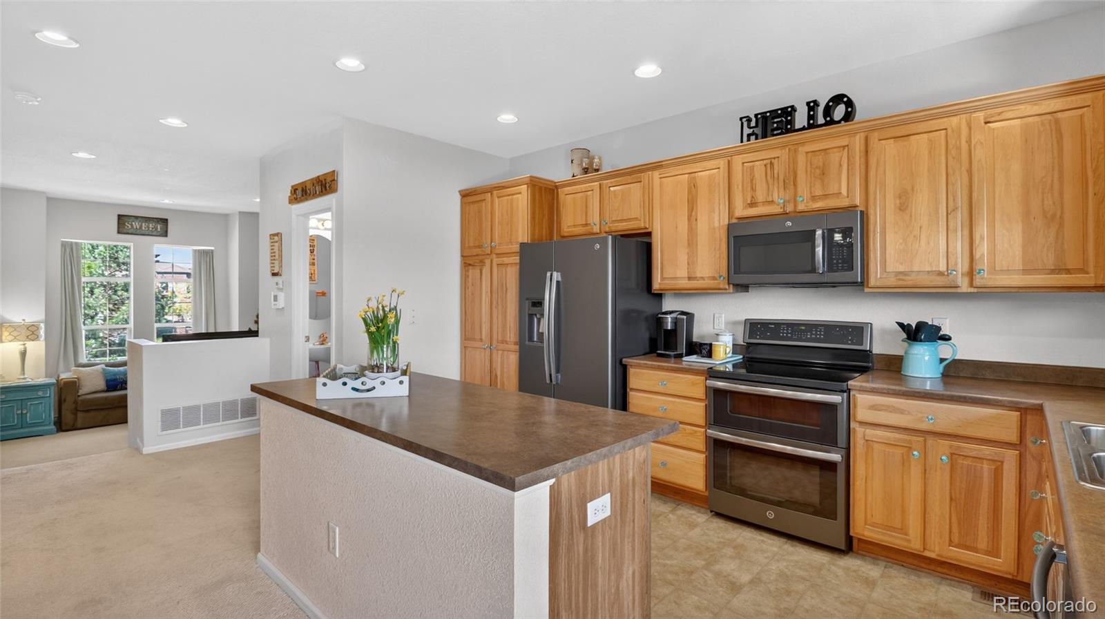 717 Bristle Pine Circle Highlands Ranch CO 80129