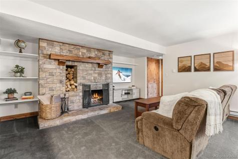 423 Wild Irishman Road Dillon CO 80435