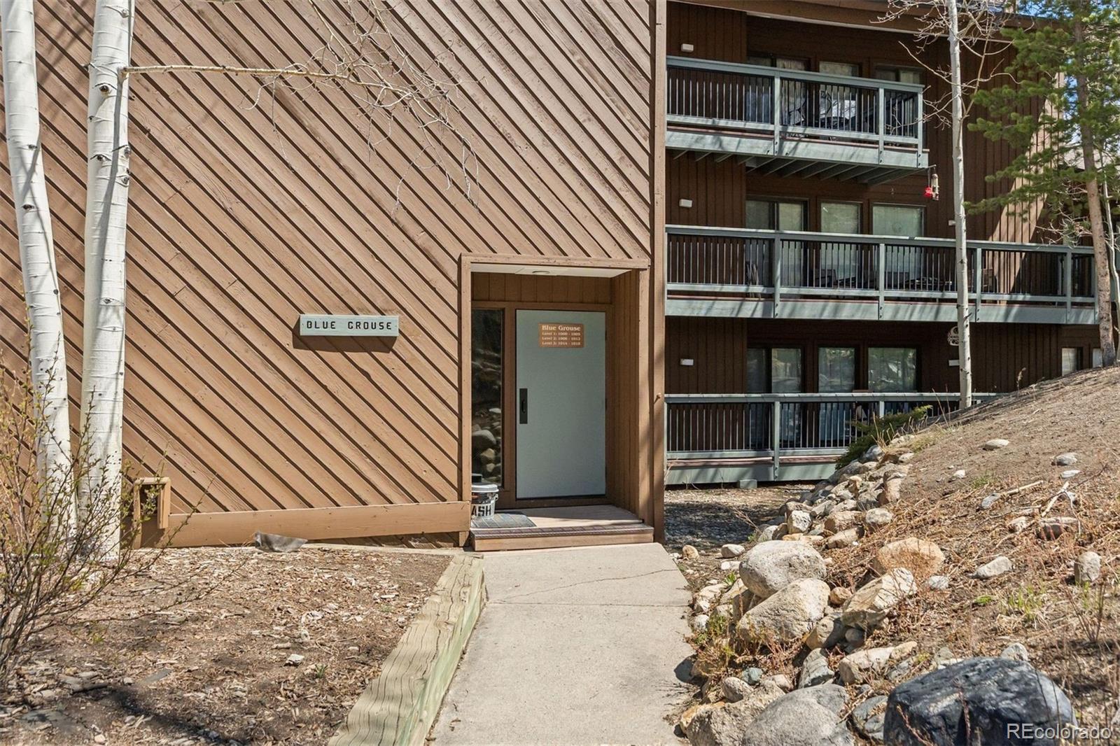 423 Wild Irishman Road Dillon CO 80435