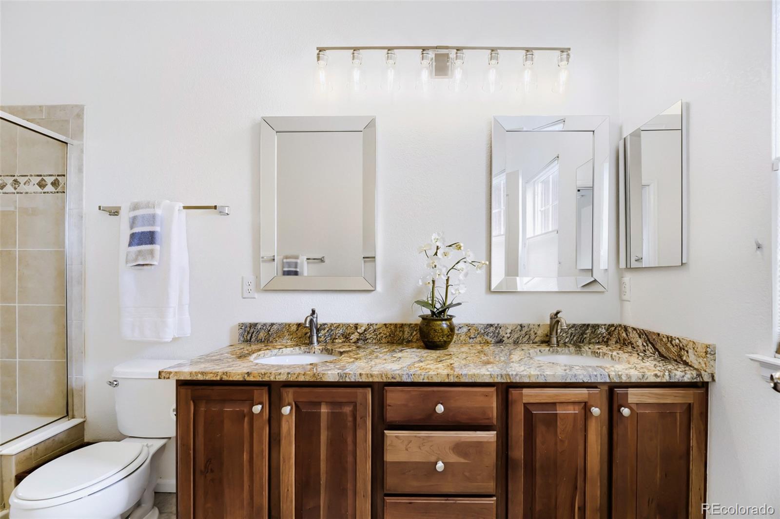 757 Bristle Pine Circle Highlands Ranch CO 80129