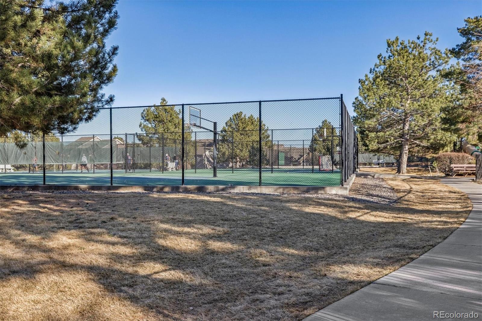 7387 Norfolk Place Castle Pines CO 80108