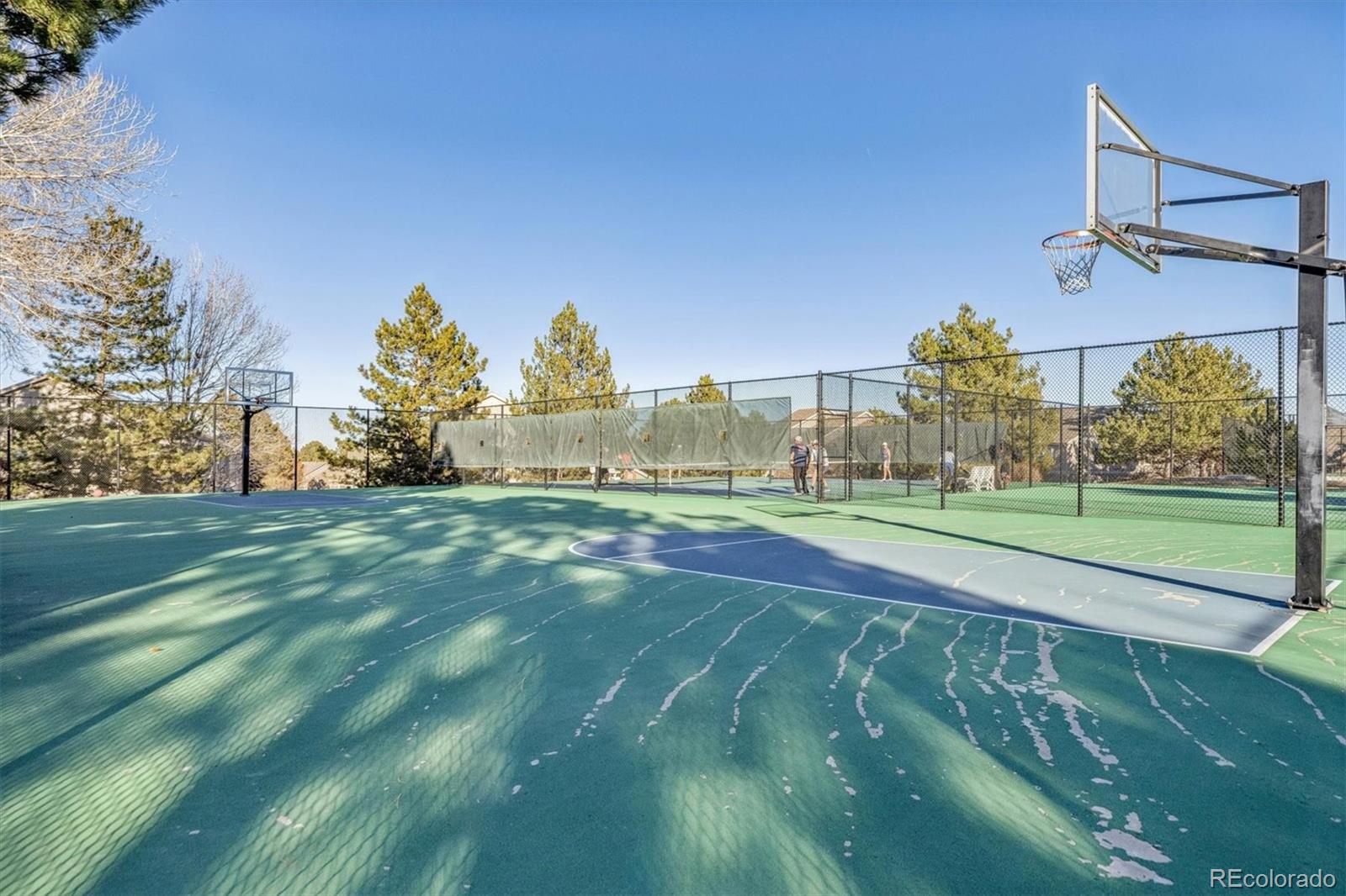 7387 Norfolk Place Castle Pines CO 80108