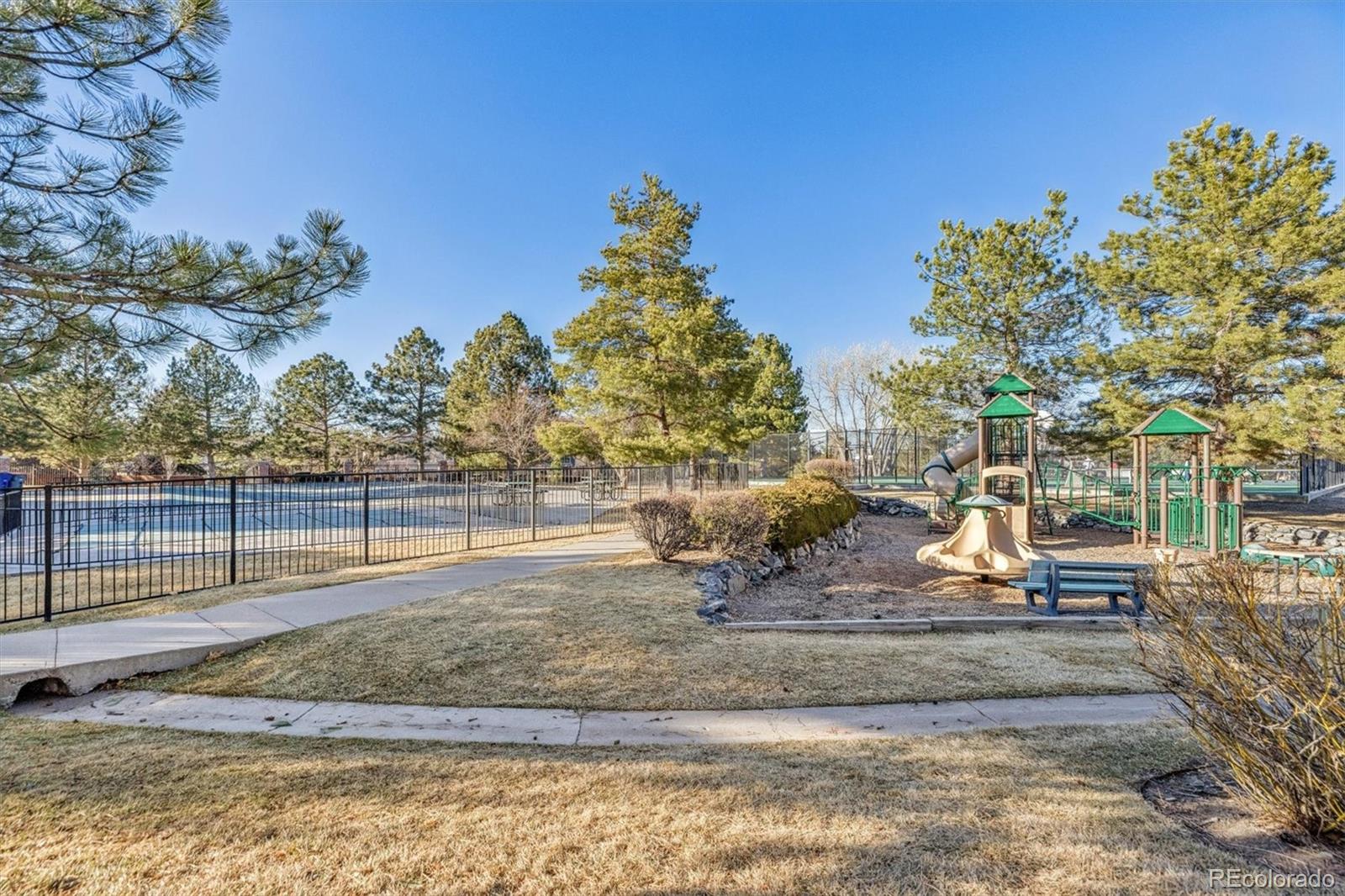7387 Norfolk Place Castle Pines CO 80108