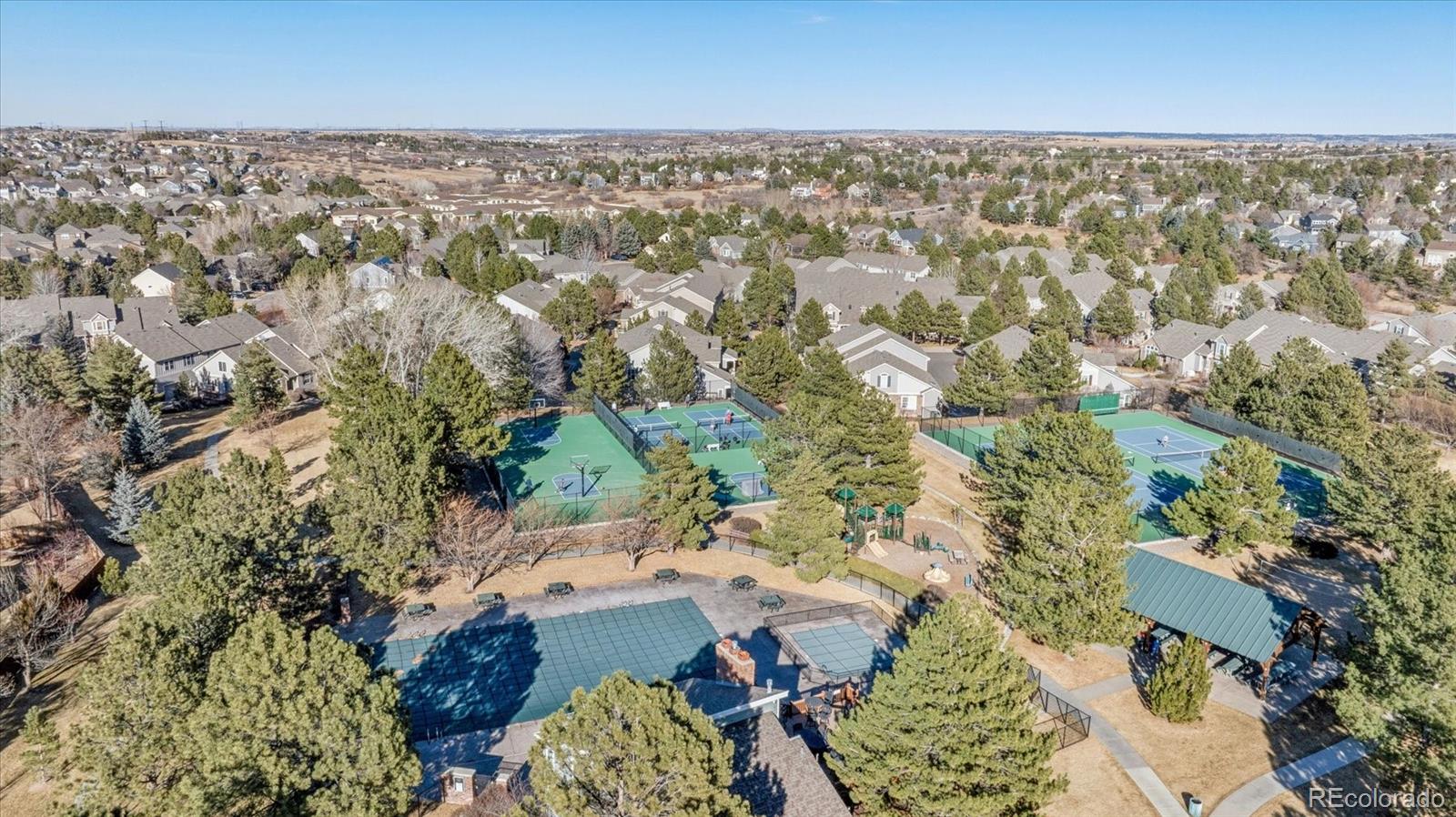 7387 Norfolk Place Castle Pines CO 80108