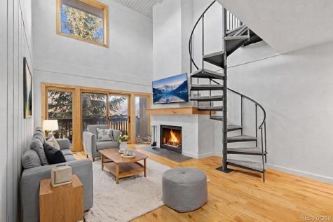 21 Buffalo Drive Silverthorne CO 80498