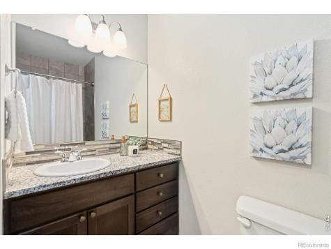 610 Cedar Street Windsor CO 80550