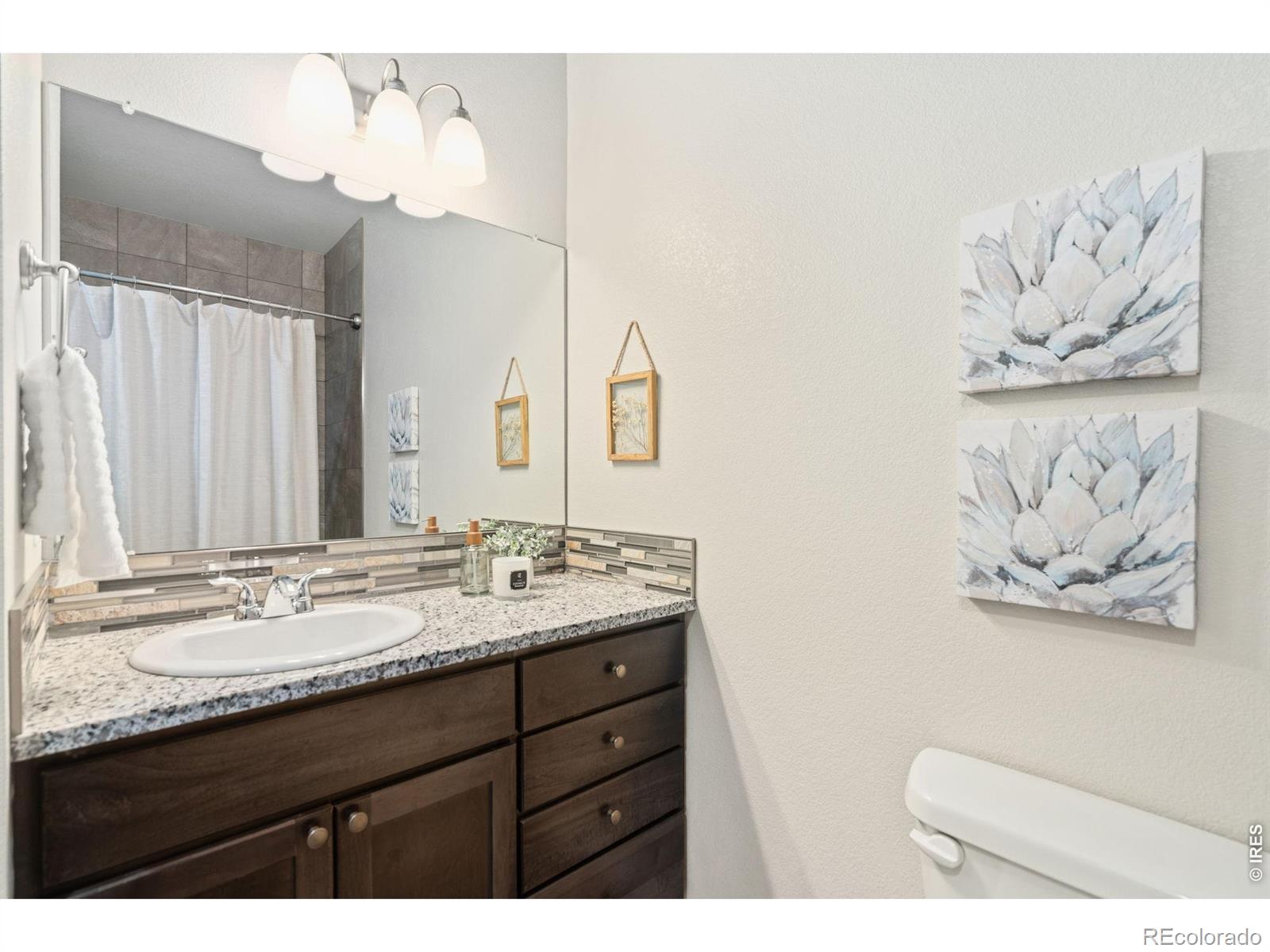 610 Cedar Street Windsor CO 80550