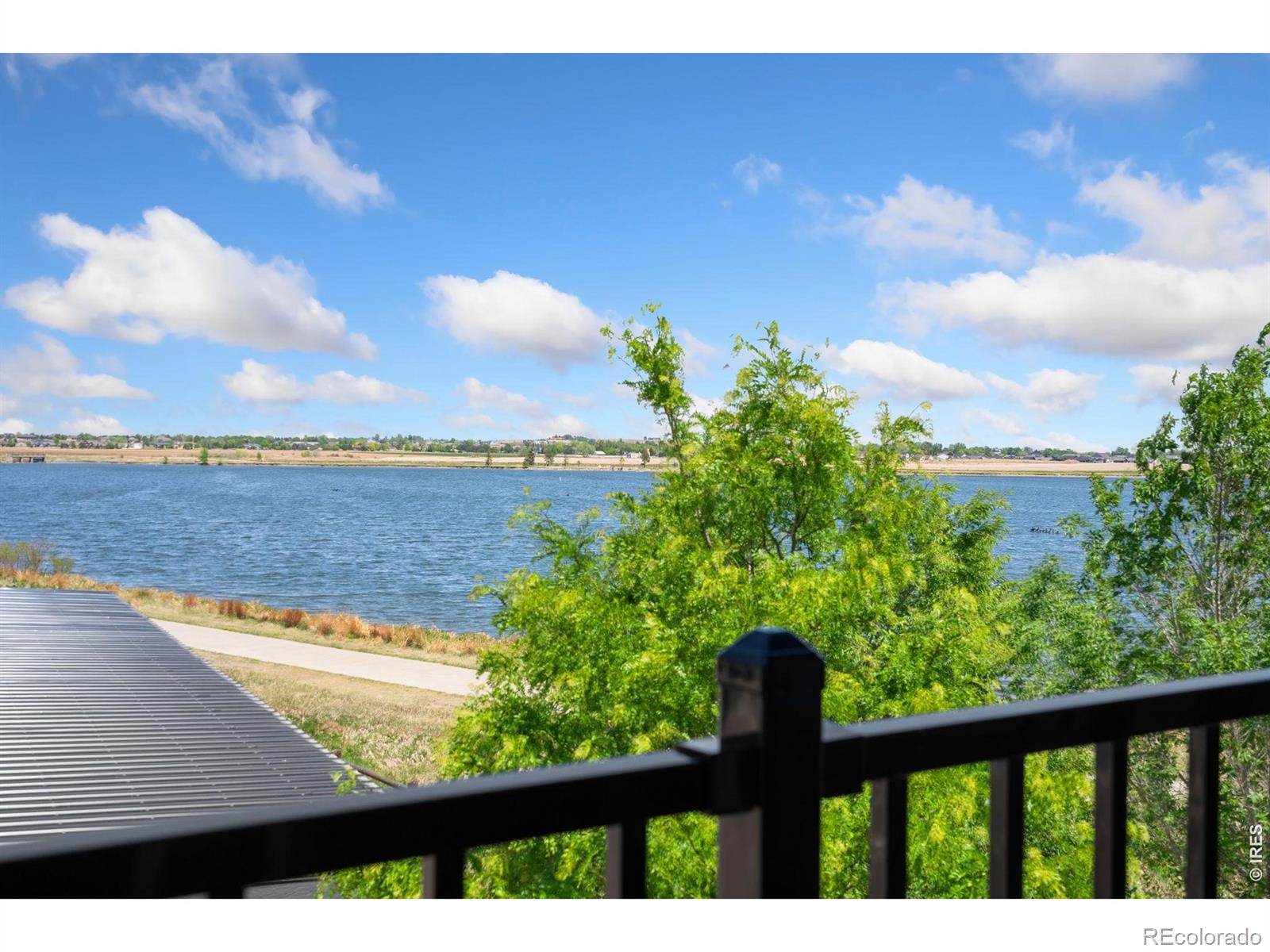 610 Cedar Street Windsor CO 80550
