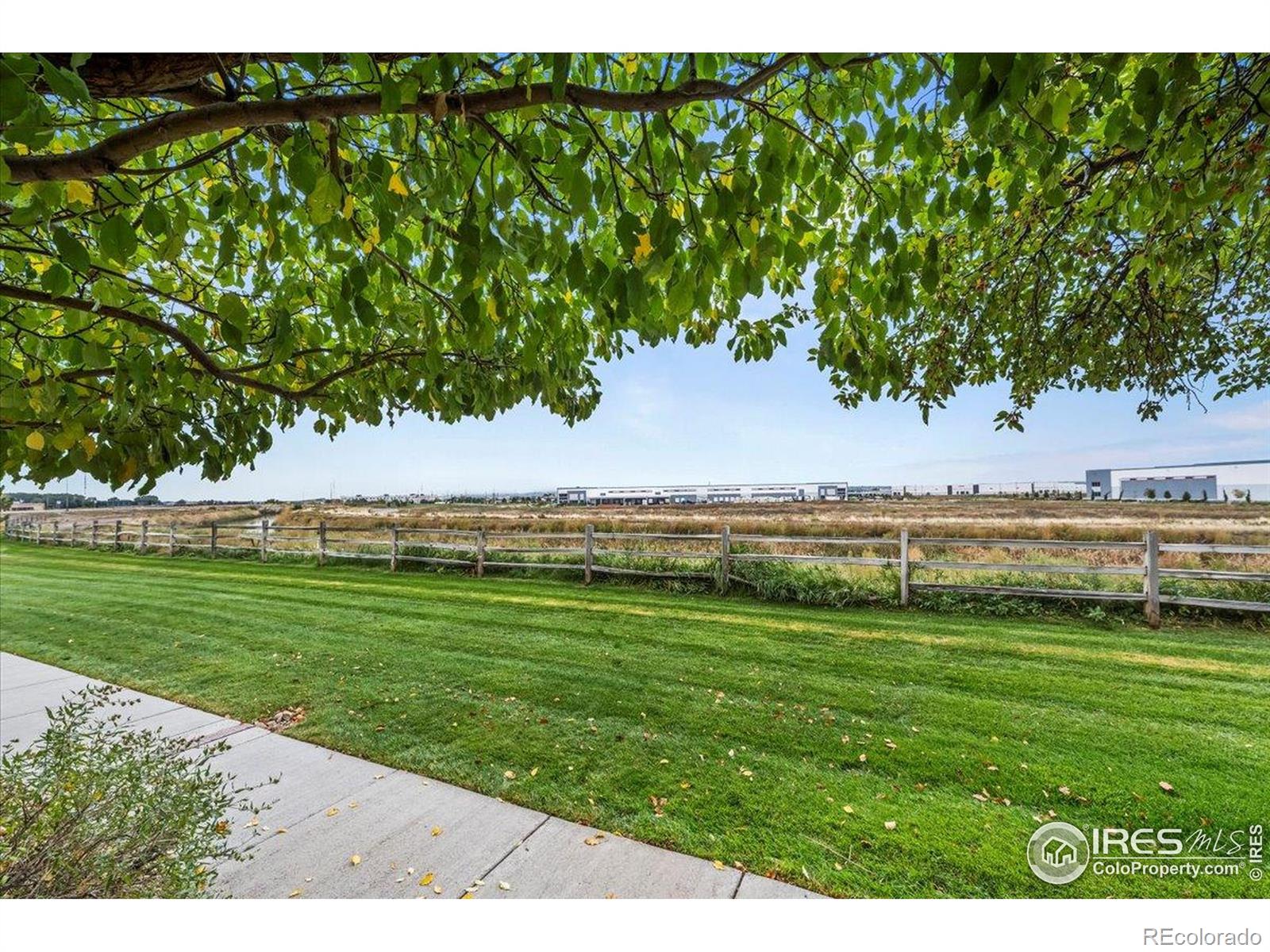 10449 Paris Street Commerce City CO 80640