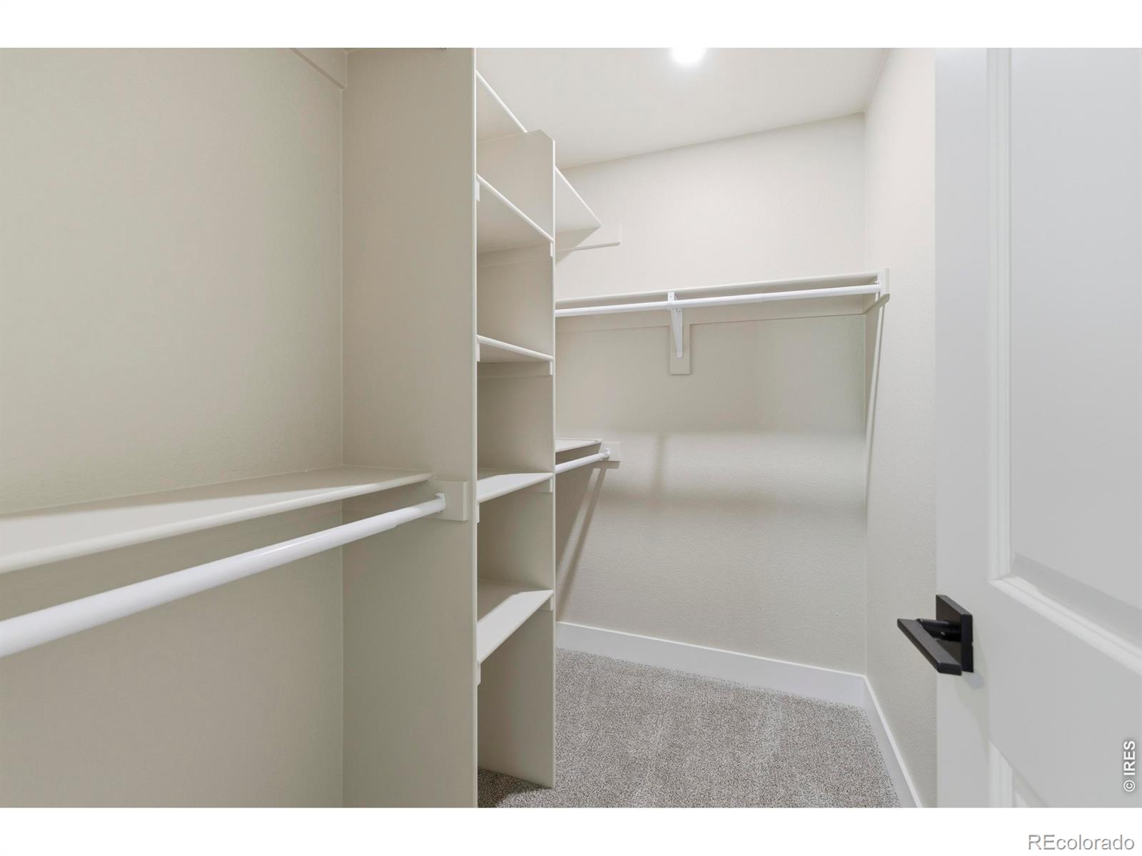 1331 E 4th Street Loveland CO 80537