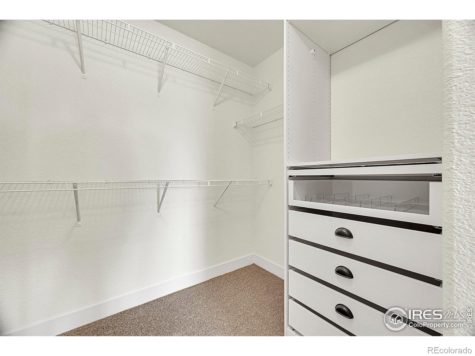 6460 Orchard Park Drive Greeley CO 80634