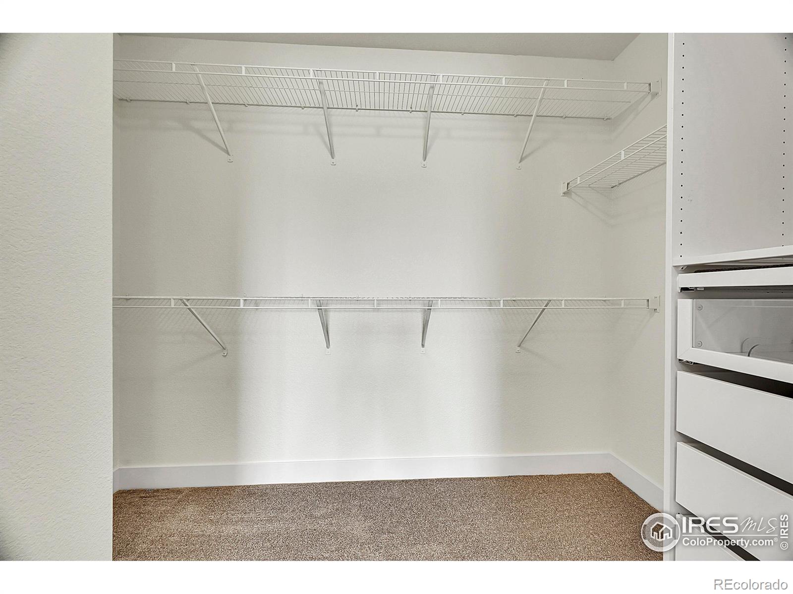 6460 Orchard Park Drive Greeley CO 80634