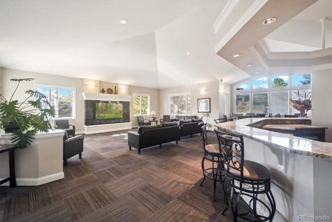 6452 Silver Mesa Drive Highlands Ranch CO 80130