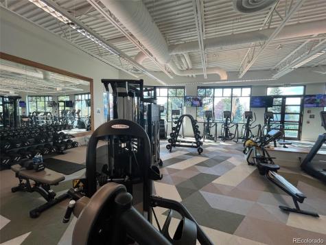 6452 Silver Mesa Drive Highlands Ranch CO 80130