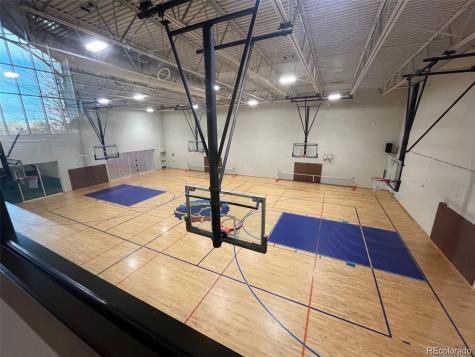 6452 Silver Mesa Drive Highlands Ranch CO 80130