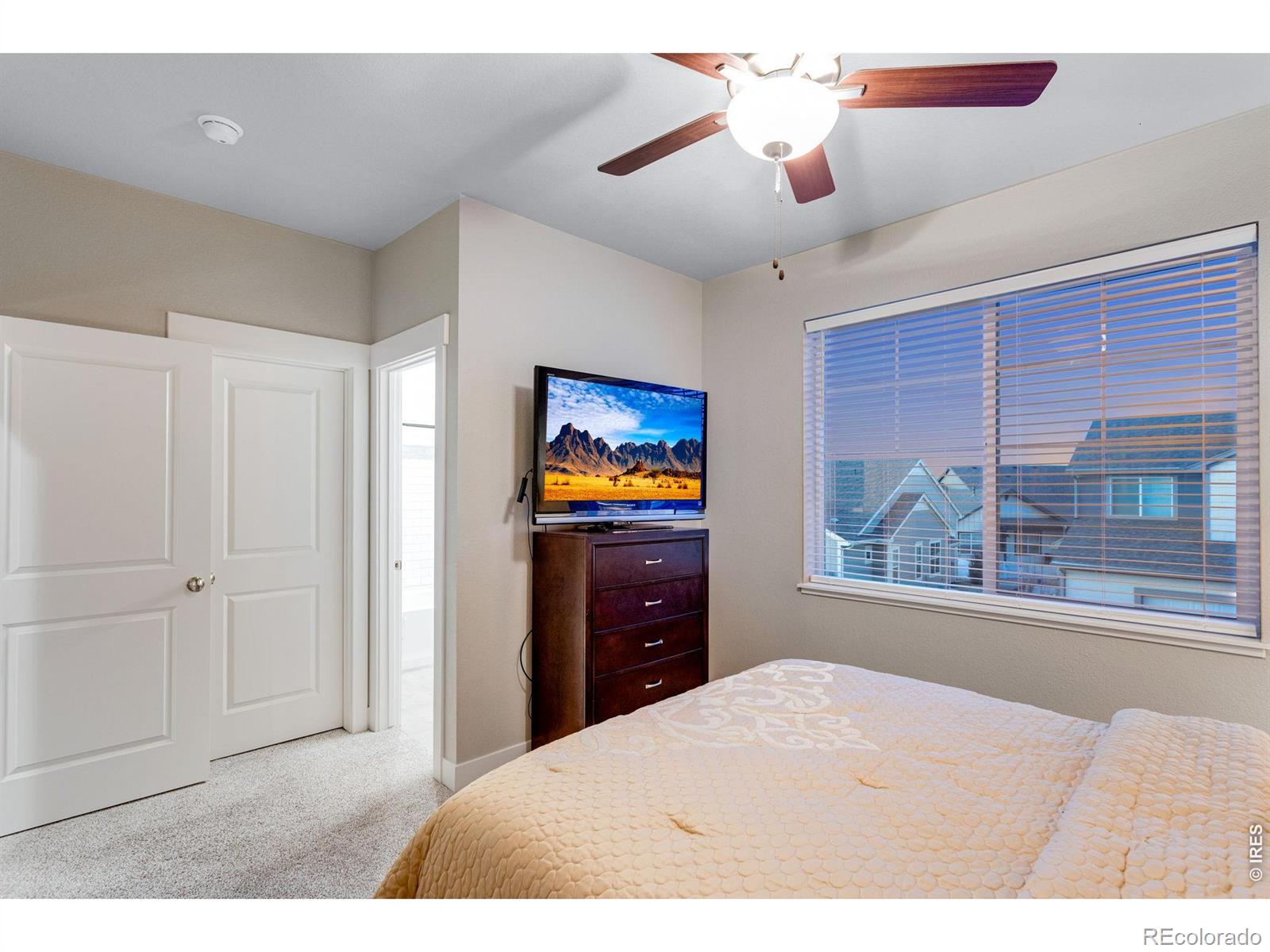5221 Longshaw Court Windsor CO 80528