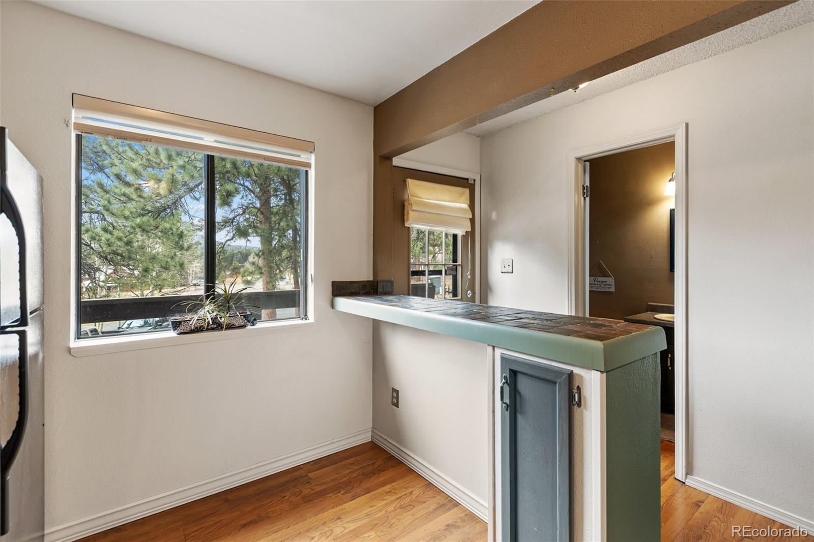 560 Manor Court Woodland Park CO 80863
