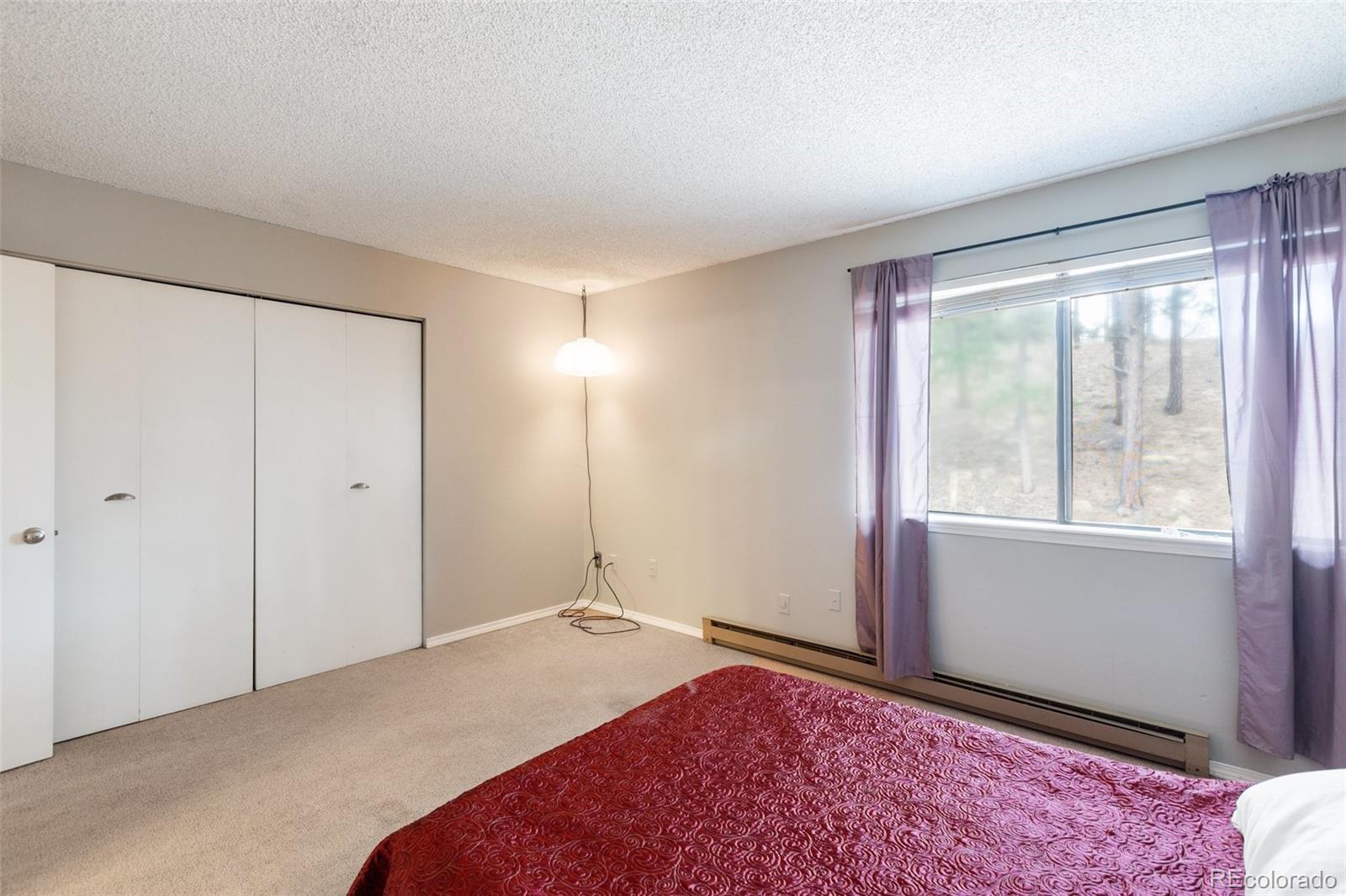 560 Manor Court Woodland Park CO 80863