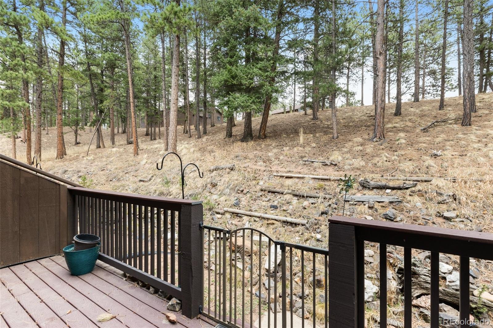 560 Manor Court Woodland Park CO 80863