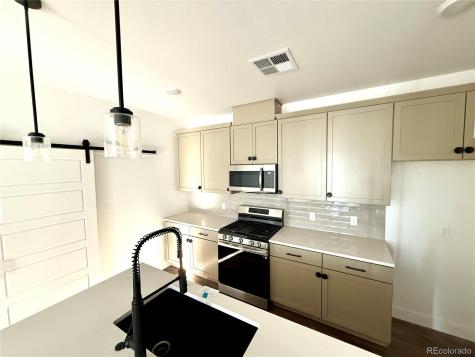 16881 Askins Loop Parker CO 80134