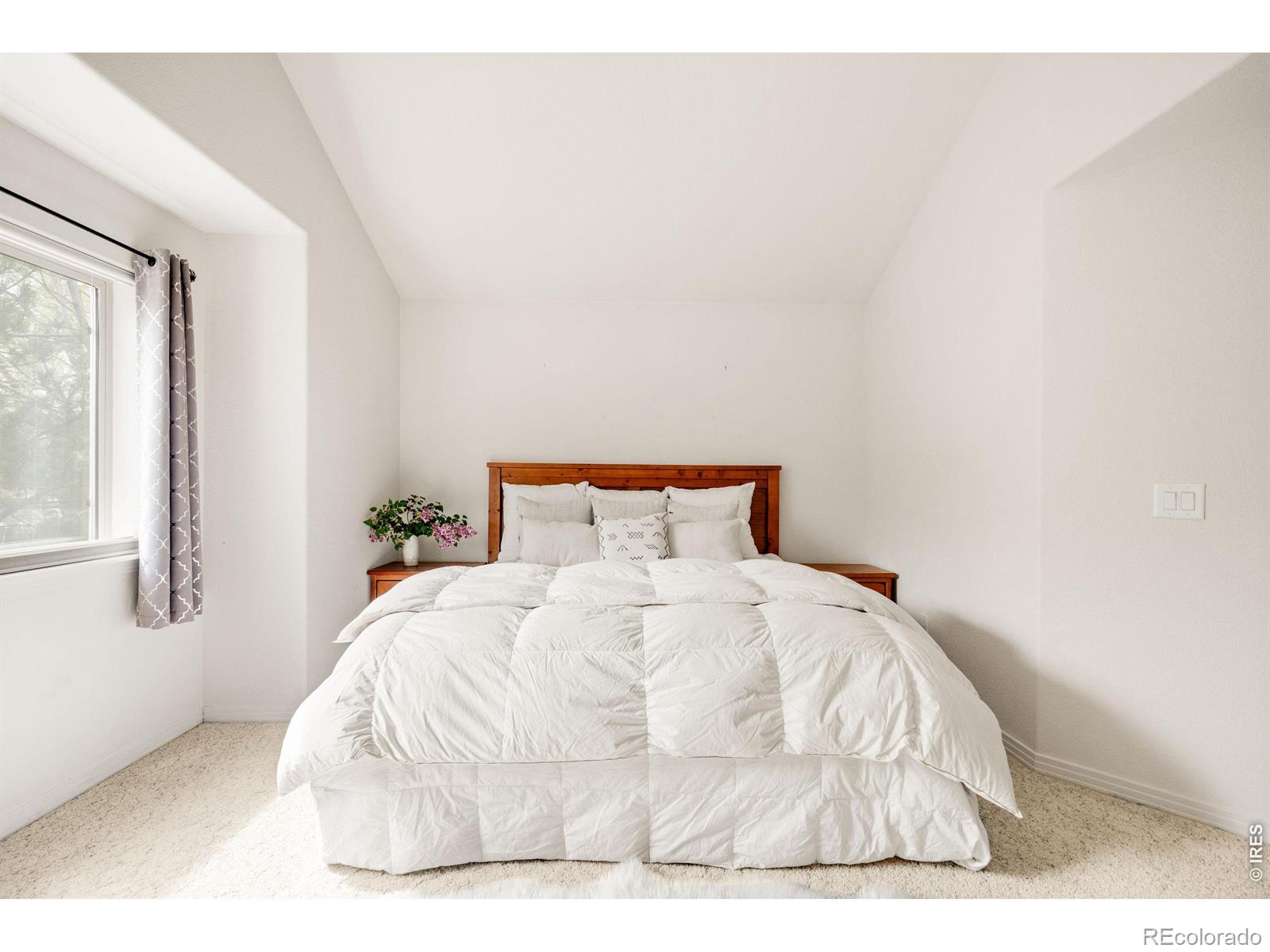 903 Hover Ridge Circle Longmont CO 80501