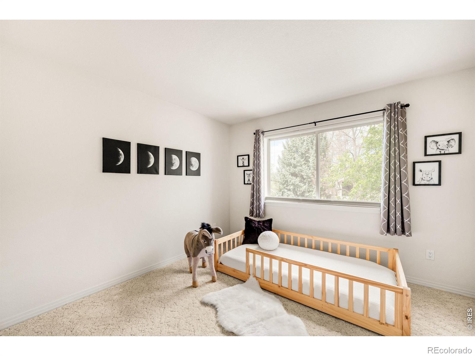 903 Hover Ridge Circle Longmont CO 80501