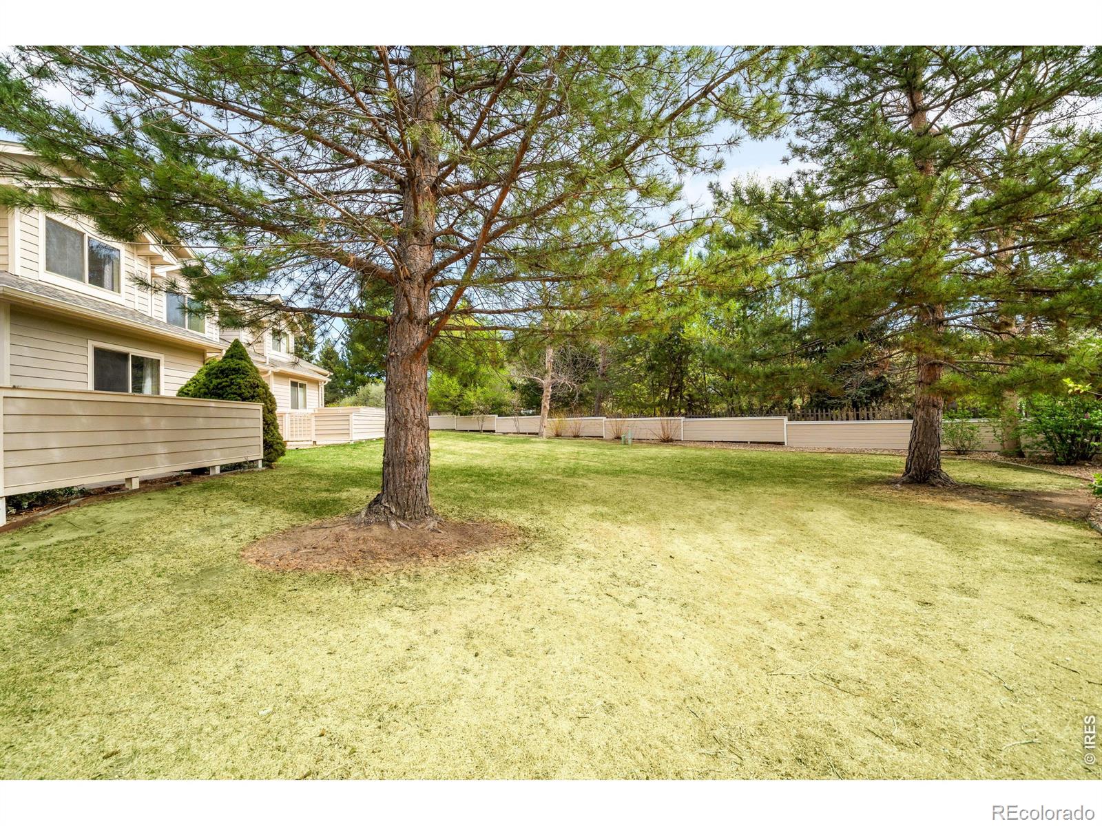 903 Hover Ridge Circle Longmont CO 80501