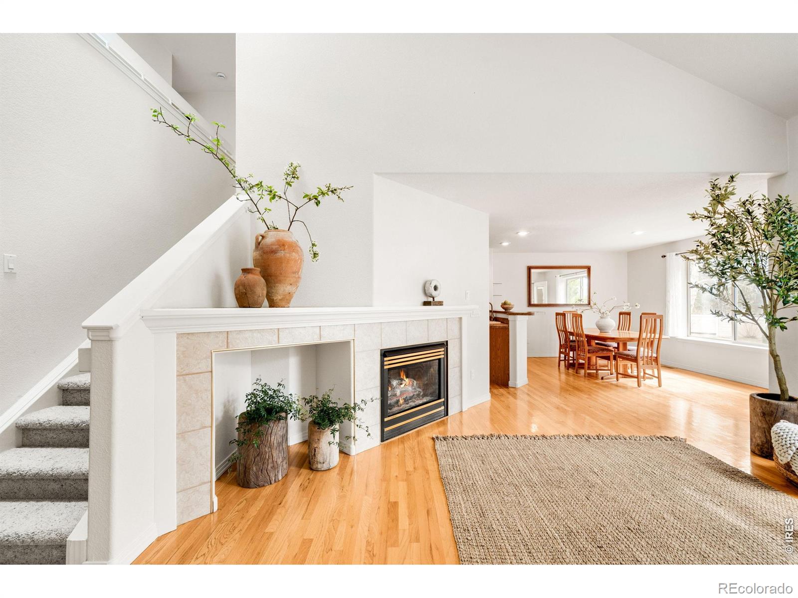 903 Hover Ridge Circle Longmont CO 80501