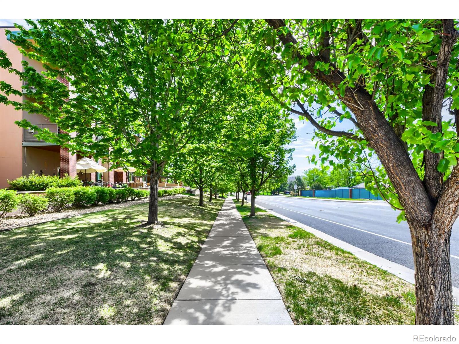1053 W Century Drive Louisville CO 80027