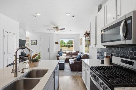 18221 French Creek Avenue Parker CO 80134