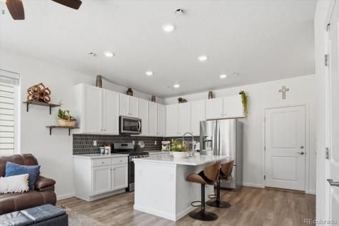 18221 French Creek Avenue Parker CO 80134