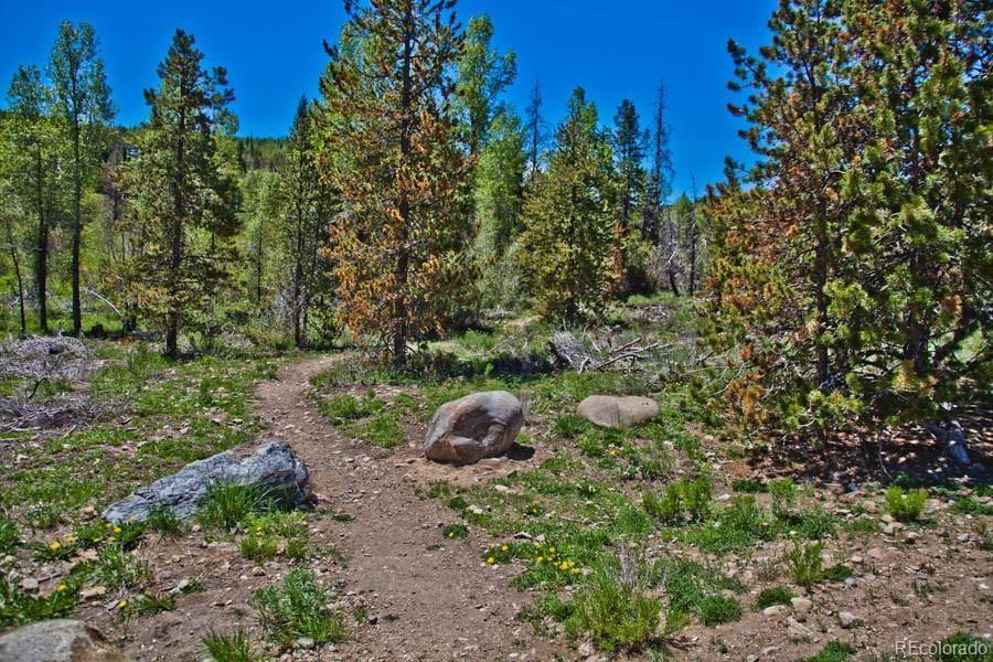 4200 Lodge Pole Circle Silverthorne CO 80498