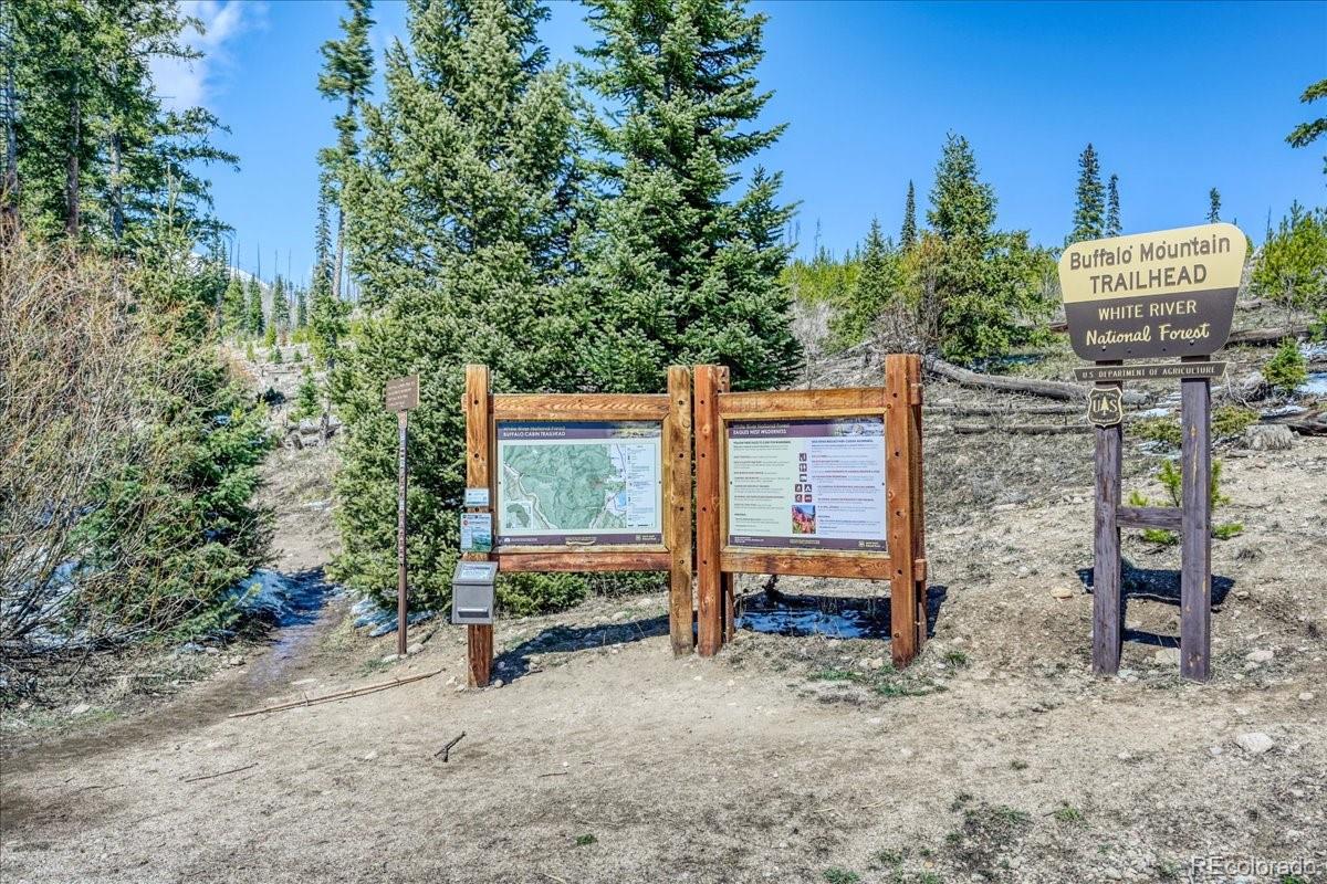 4200 Lodge Pole Circle Silverthorne CO 80498