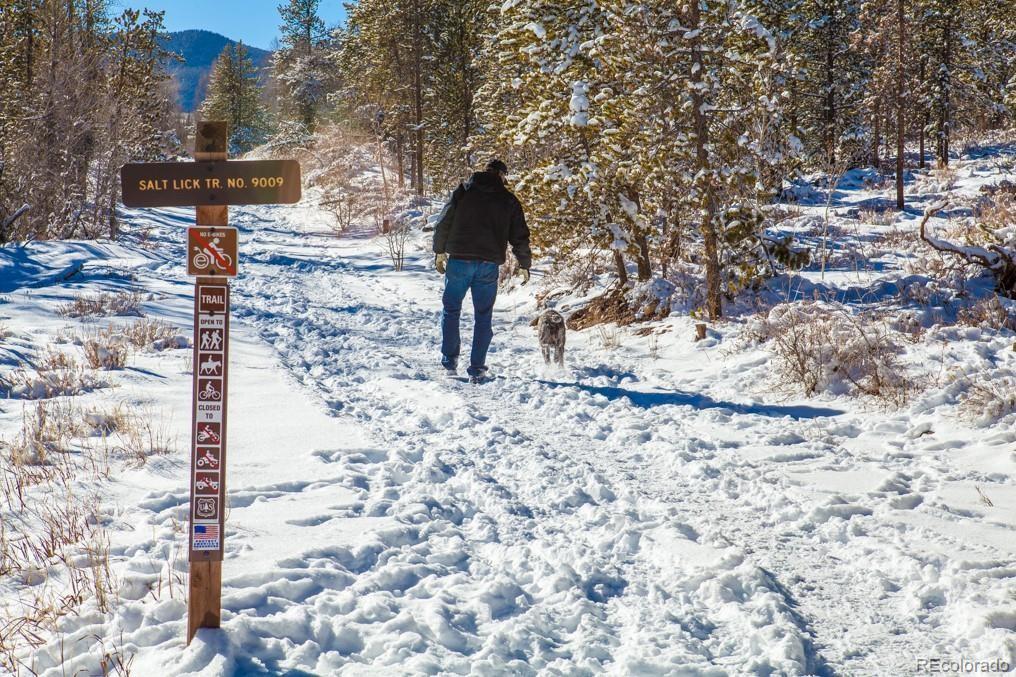 4200 Lodge Pole Circle Silverthorne CO 80498