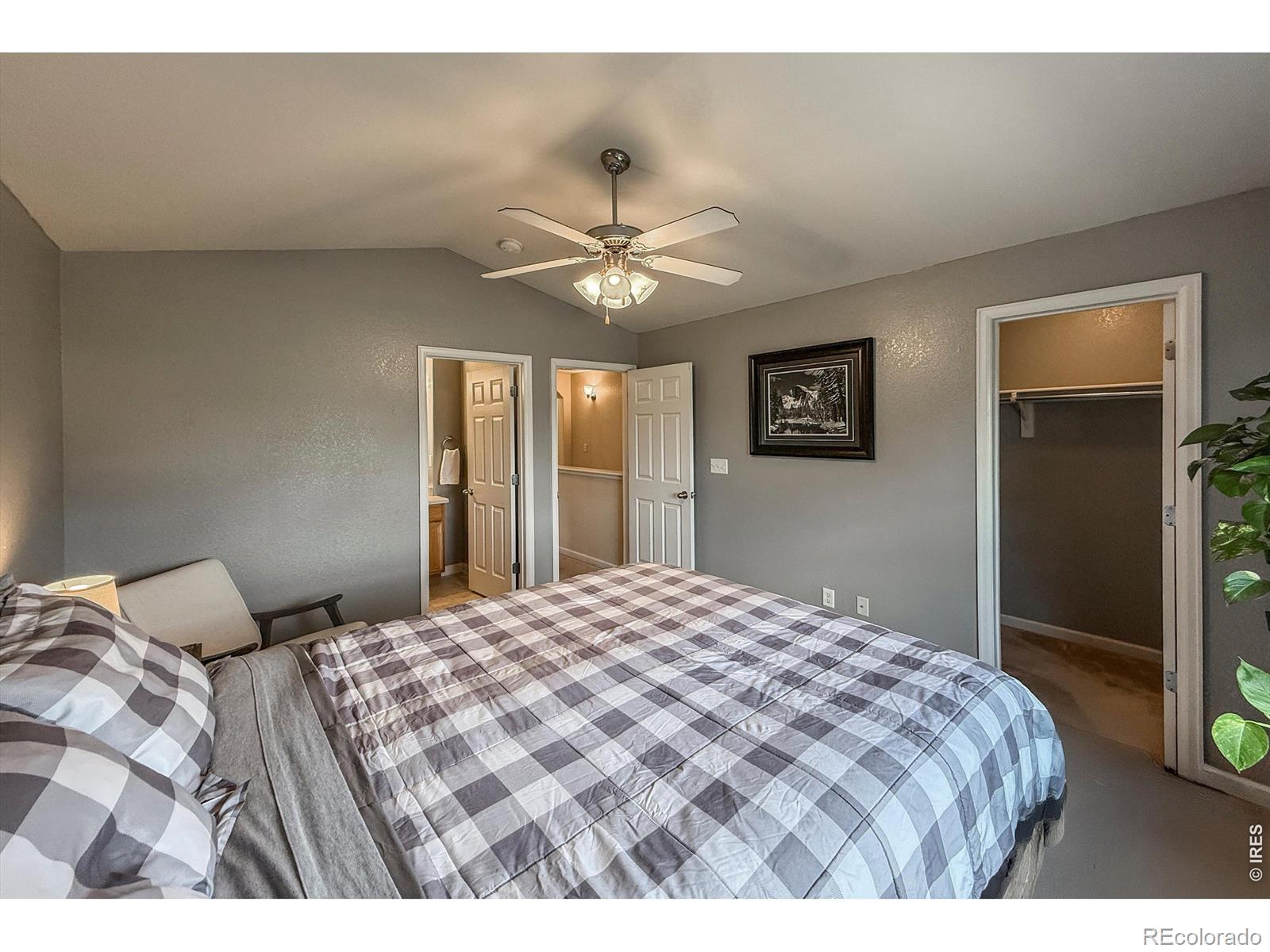 3601 Ponderosa Court Evans CO 80620