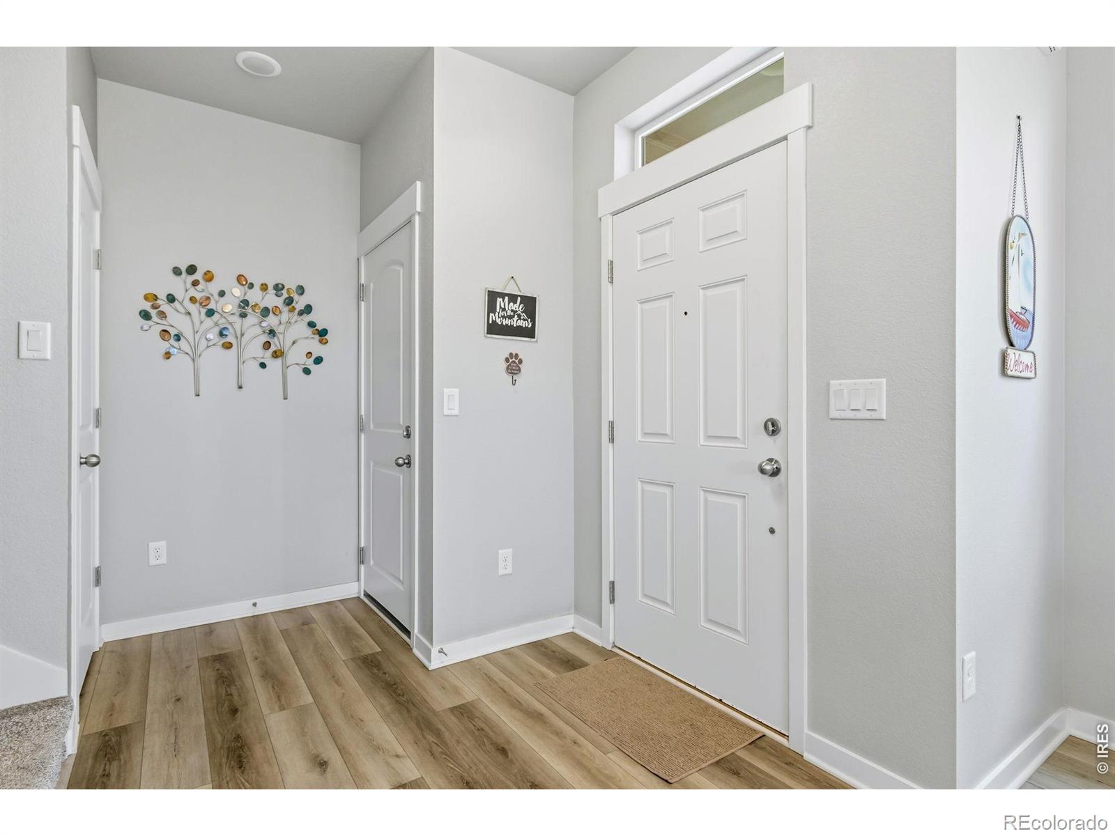 4510 Barrow Lane Timnath CO 80547