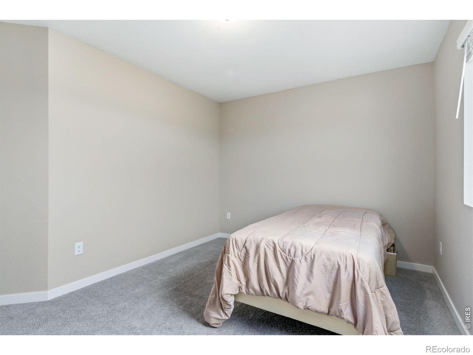 4510 Barrow Lane Timnath CO 80547