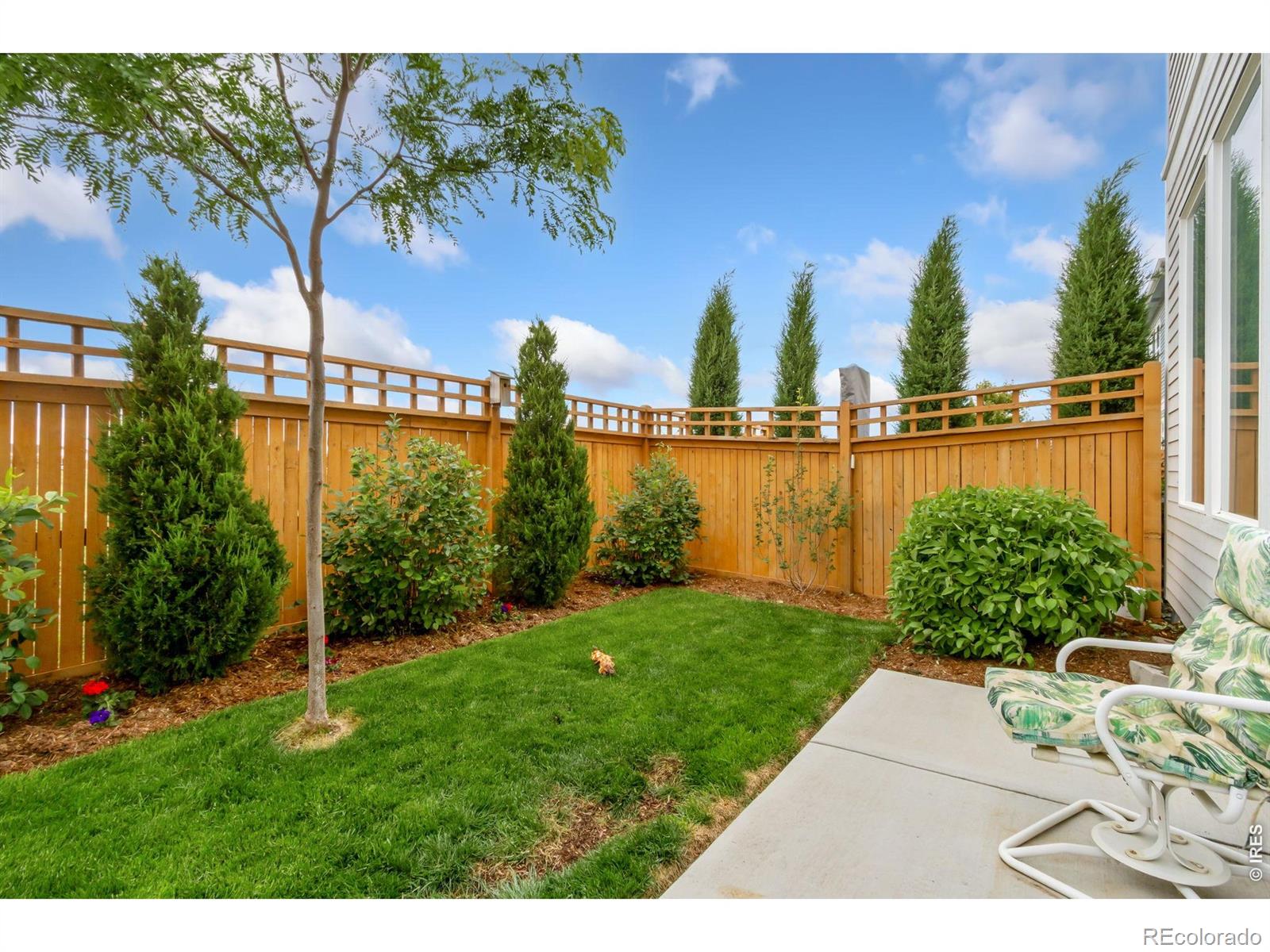 4510 Barrow Lane Timnath CO 80547